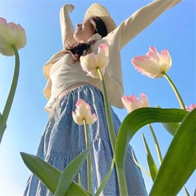 楚留香传奇